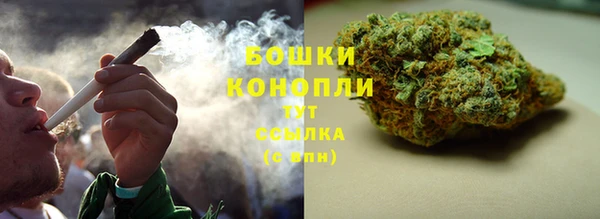 сатива Ростов