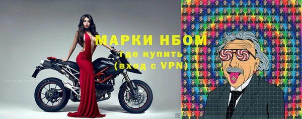 ECSTASY Алзамай