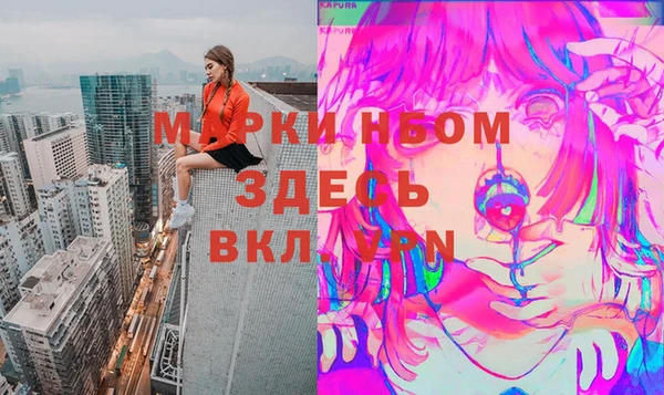 ECSTASY Алзамай