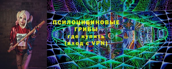 тгк Алексин