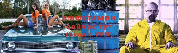 ECSTASY Алзамай