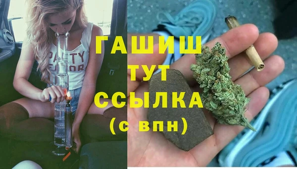 тгк Алексин