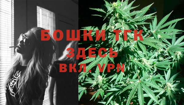 спиды Россошь