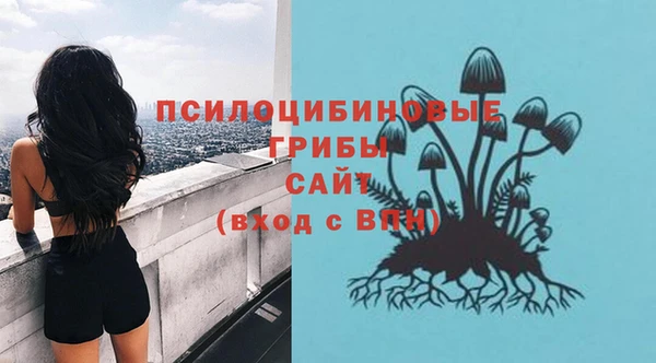 ECSTASY Алзамай